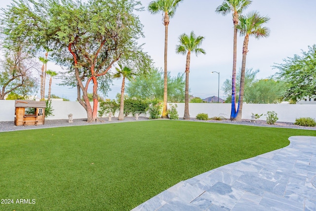 view of yard with a playground