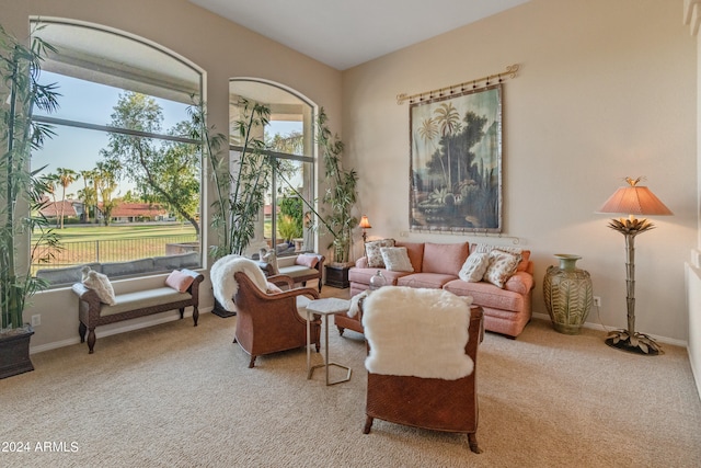 sitting room featuring carpet