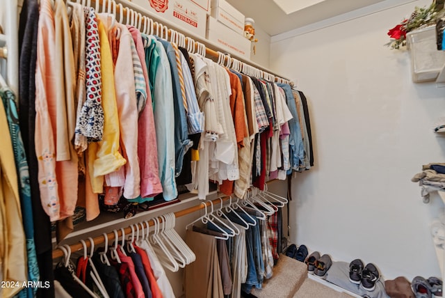 view of spacious closet