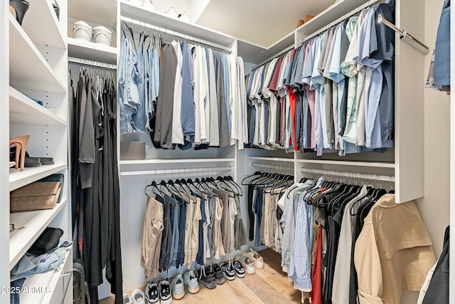 spacious closet featuring wood finished floors