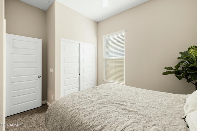 bedroom featuring ceiling fan, a closet, and carpet