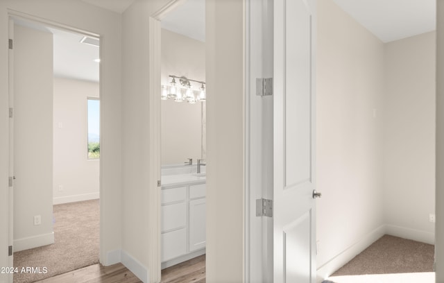 bathroom with vanity and wood-type flooring