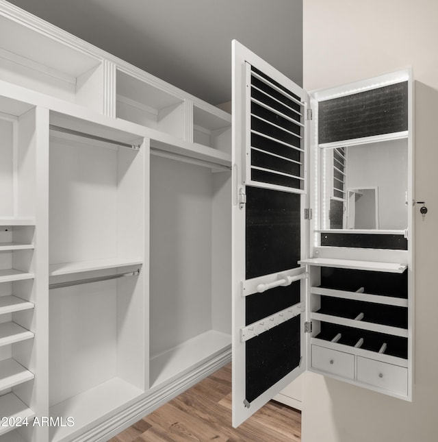 spacious closet with hardwood / wood-style floors