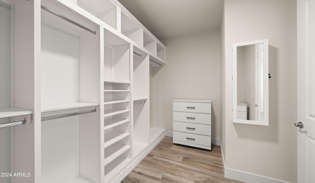 walk in closet featuring light hardwood / wood-style floors