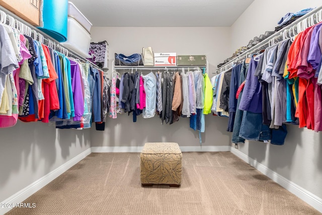 spacious closet featuring carpet floors