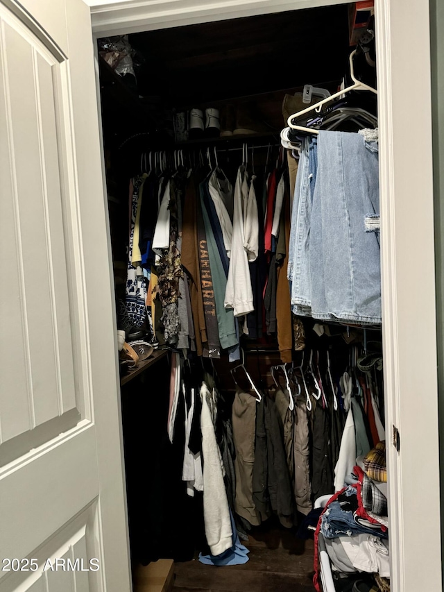 view of closet