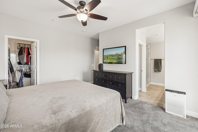 bedroom featuring a spacious closet, a closet, ceiling fan, and carpet