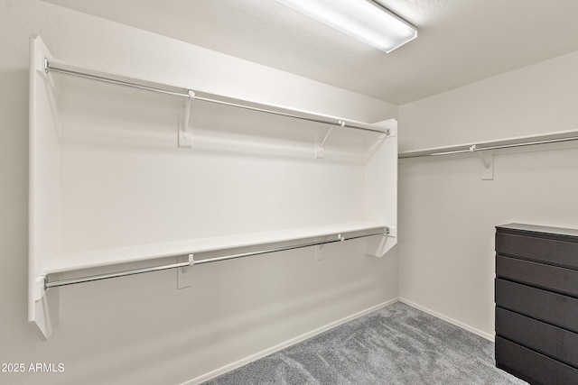 1255 N Banning, Mesa, AZ 85205 - spacious closet with carpet flooring