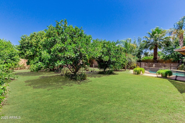 12837 N 68th St, Scottsdale, AZ 85254 - view of yard