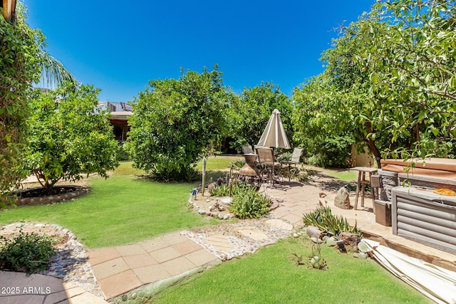 12837 N 68th St, Scottsdale, AZ 85254 - view of grassy yard with a patio
