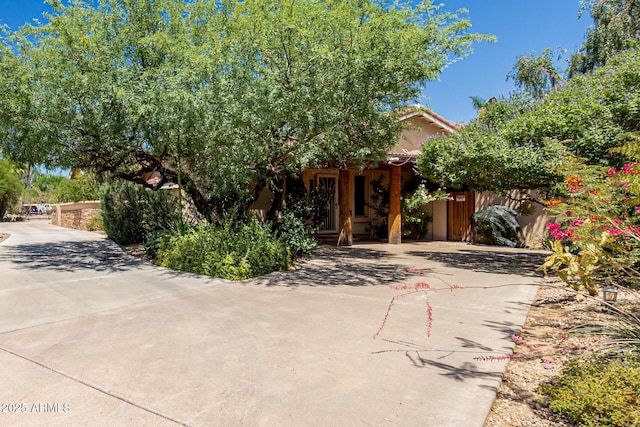 12837 N 68th St, Scottsdale, AZ 85254 - view of property hidden behind natural elements featuring concrete driveway