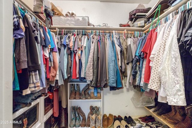 8730 E Barataria Blvd, Sierra Vista, AZ 85650 - view of walk in closet