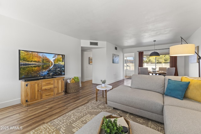 living room featuring wood-type flooring