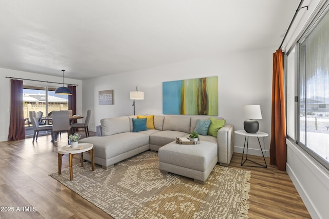 living room with hardwood / wood-style floors