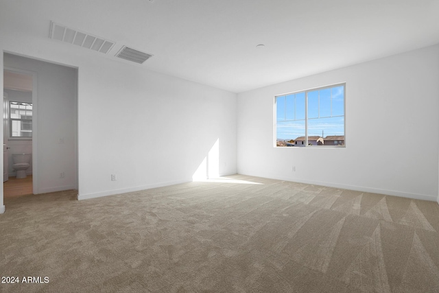 spare room with carpet and a healthy amount of sunlight