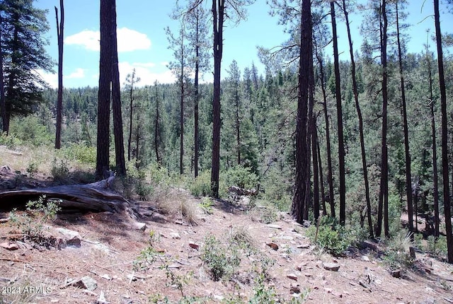 197 S Antler Cir Unit 103, Payson AZ, 85541 land for sale