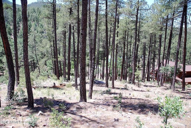 Listing photo 2 for 197 S Antler Cir Unit 103, Payson AZ 85541