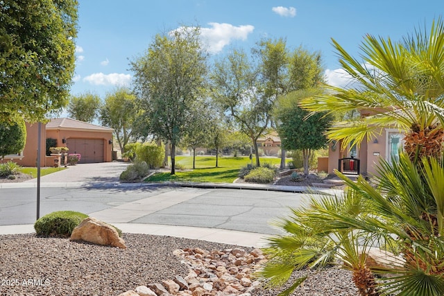 view of yard with an attached garage and driveway