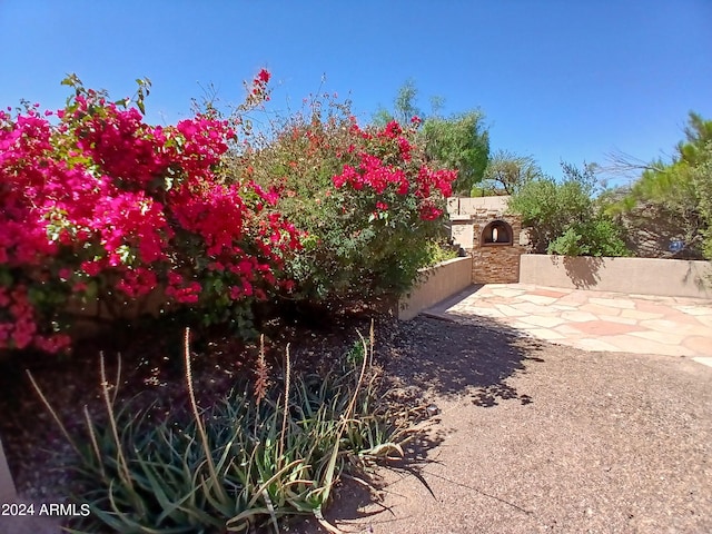 view of yard featuring a patio area