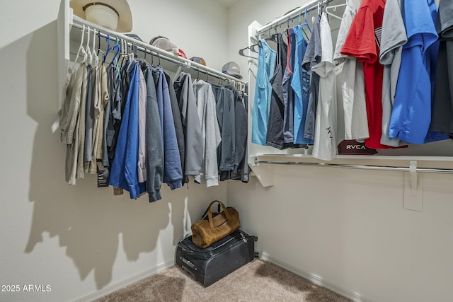 17618 W Medlock Dr, Litchfield Park, AZ 85340 - walk in closet featuring carpet flooring