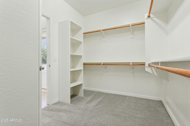 spacious closet with light colored carpet