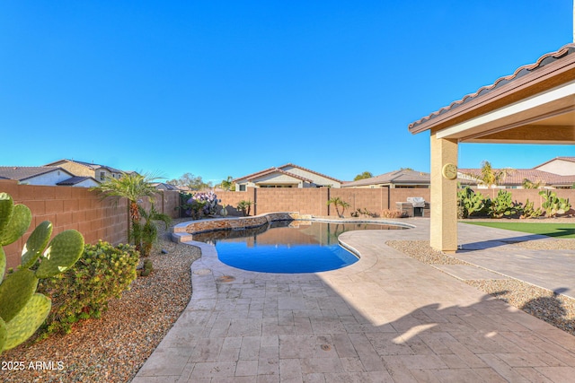 view of pool with a patio