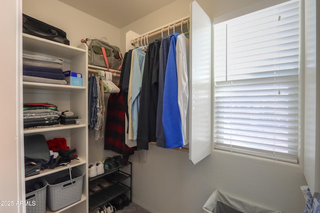 view of spacious closet