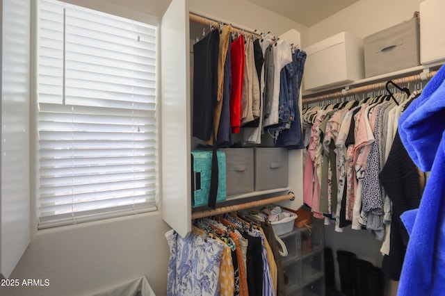 view of walk in closet