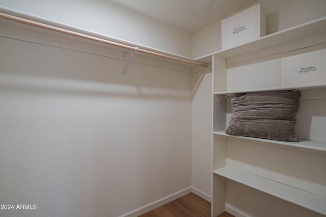 walk in closet with wood-type flooring