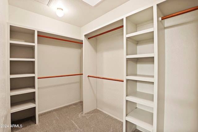 walk in closet with light colored carpet