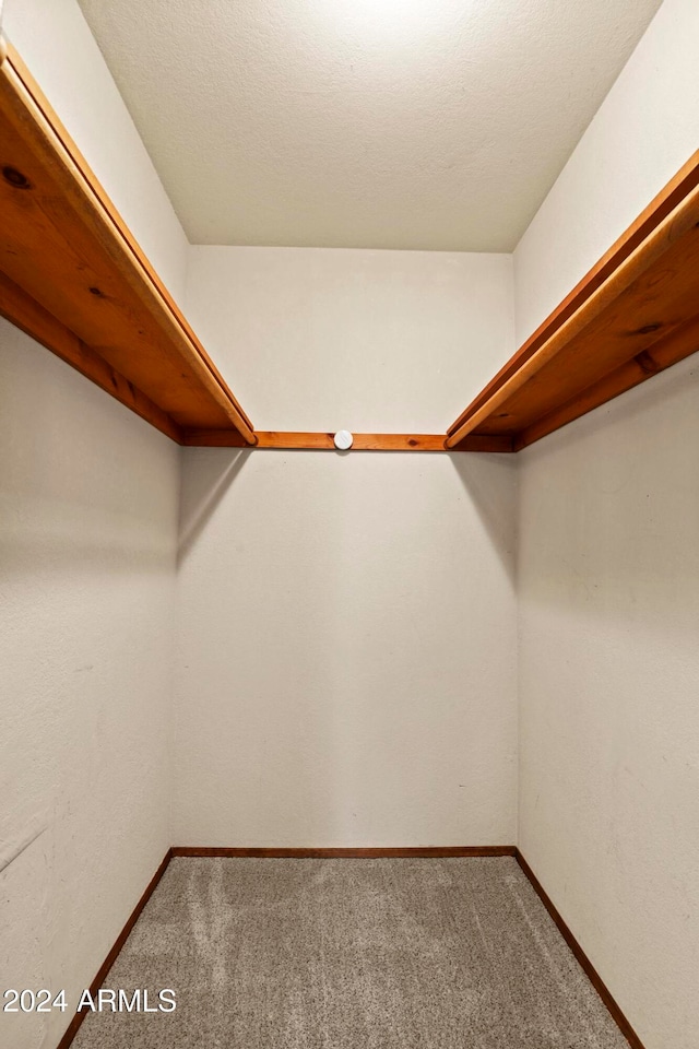 walk in closet with carpet floors