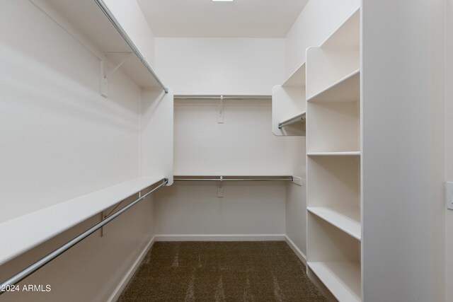 spacious closet featuring dark colored carpet