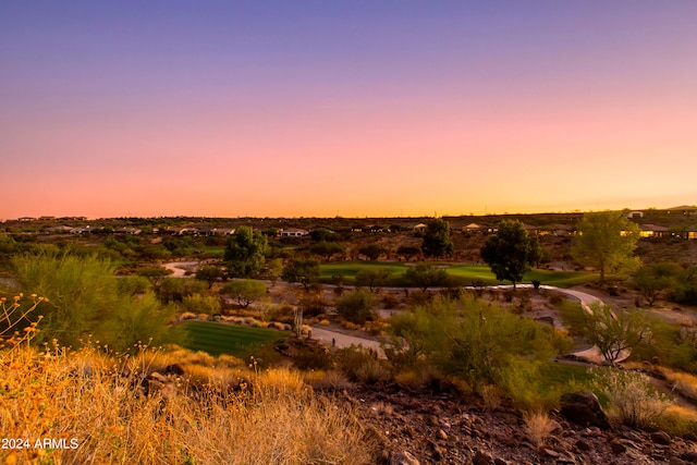 view of nature at dusk