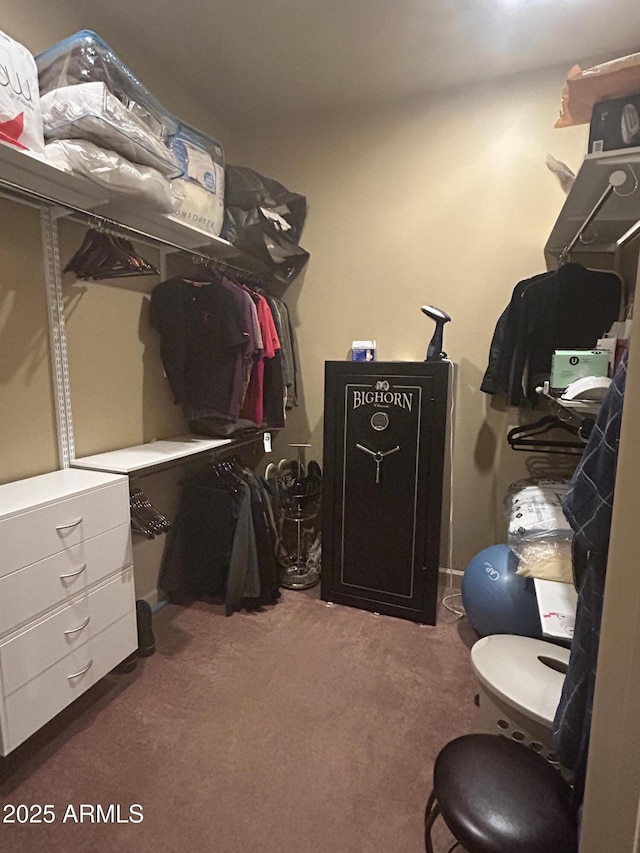 14000 N 94th St Unit 1077, Scottsdale, AZ 85260 - spacious closet with carpet