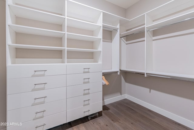 walk in closet with dark wood-type flooring