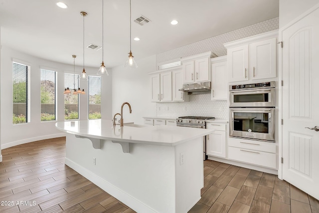 9017 E June Cir, Mesa, AZ 85207 - kitchen featuring a sink, under cabinet range hood, appliances with stainless steel finishes, wood finish floors, and recessed lighting