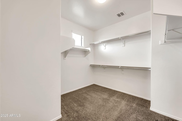 9017 E June Cir, Mesa, AZ 85207 - walk in closet with carpet flooring