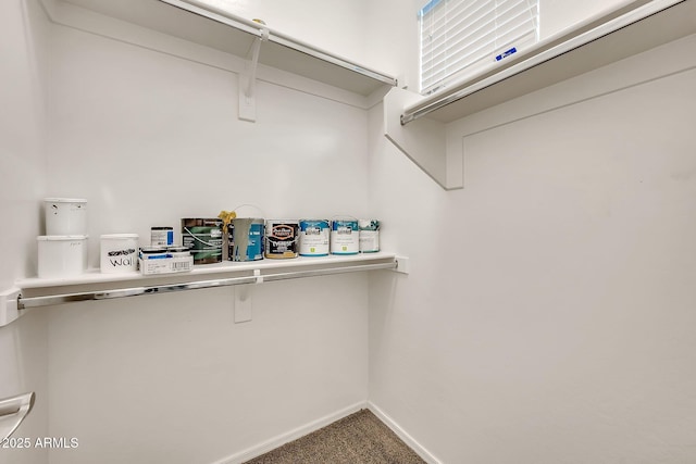 9017 E June Cir, Mesa, AZ 85207 - walk in closet featuring carpet