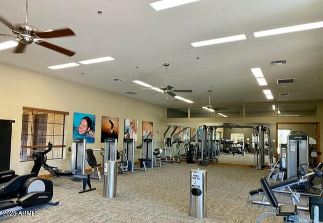 9017 E June Cir, Mesa, AZ 85207 - gym featuring ceiling fan and carpet flooring