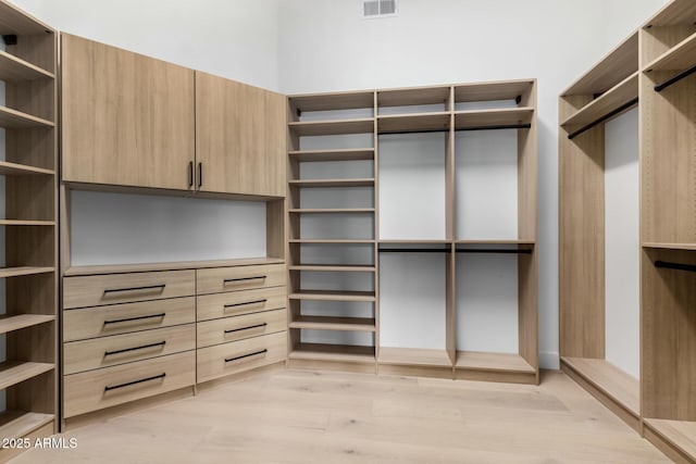 spacious closet with light wood-type flooring