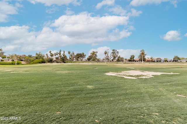 view of home's community with a lawn