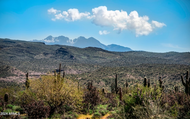 view of mountain feature