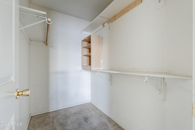 spacious closet featuring carpet flooring