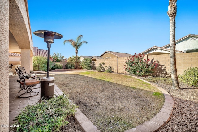 view of yard featuring a patio