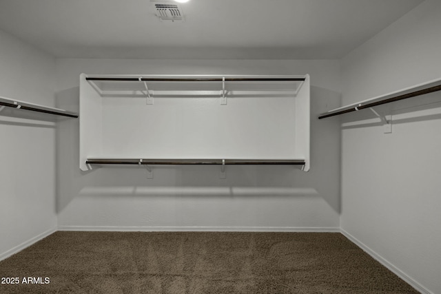 1953 E Lafayette Ave, Gilbert, AZ 85298 - walk in closet with carpet floors