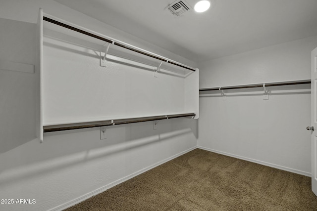 1953 E Lafayette Ave, Gilbert, AZ 85298 - spacious closet featuring carpet floors