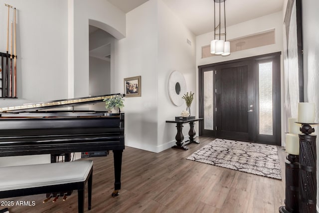 entrance foyer featuring wood-type flooring