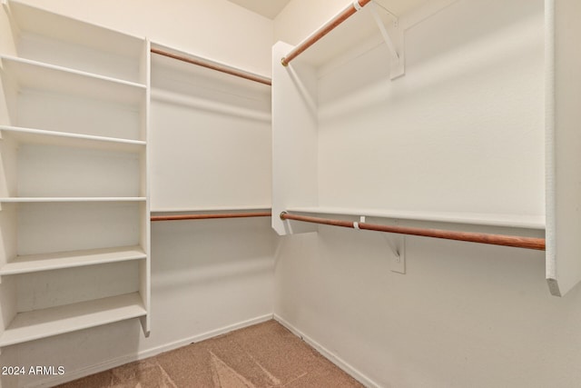 spacious closet featuring carpet flooring