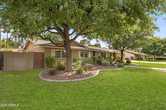 143 E Winter Dr, Phoenix, AZ 85020 - view of ranch-style house