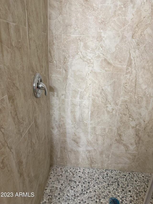 room details with tiled shower